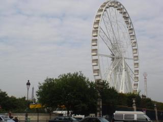 DSC06807.JPG