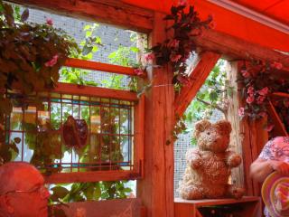 DSC05913.JPG