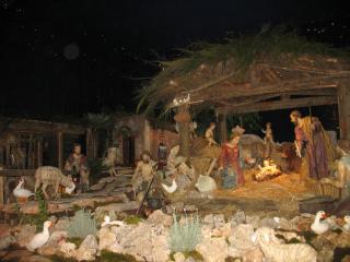 IMG_2564.JPG