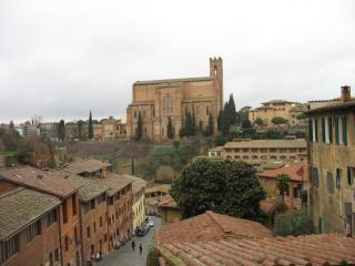 IMG_2507.JPG
