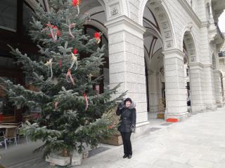 DSC03797.JPG