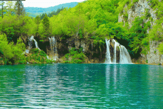 IMG_3240.gif