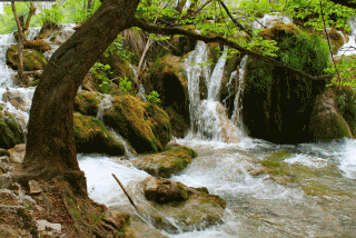 IMG_3238.gif