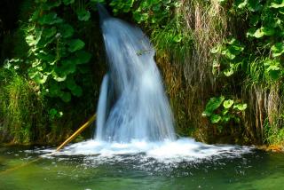 IMG_3263.JPG
