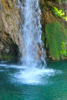IMG_3268.JPG