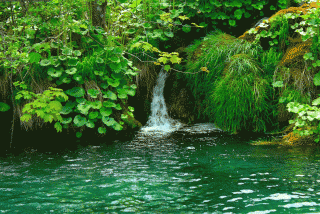 IMG_3253.gif