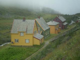 P1011951.jpg