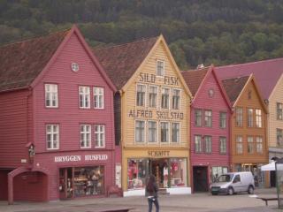 P1011996.jpg