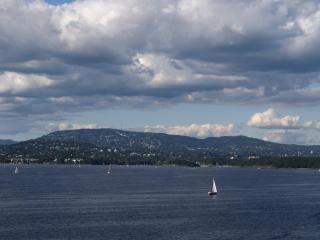 IMG_1454.jpg