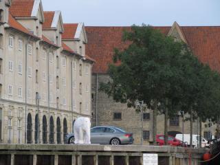 IMG_1619.jpg