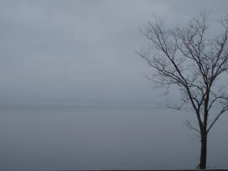 IMG_1653.jpg