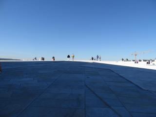 IMG_1353.jpg