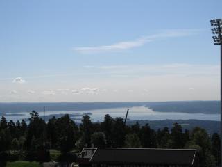 IMG_1418.jpg