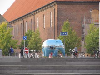 IMG_1598.jpg