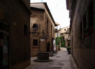 DSC01148.jpg