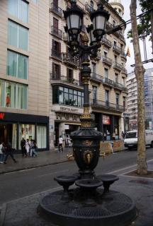 DSC00956.jpg