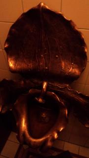 DSC01575.JPG