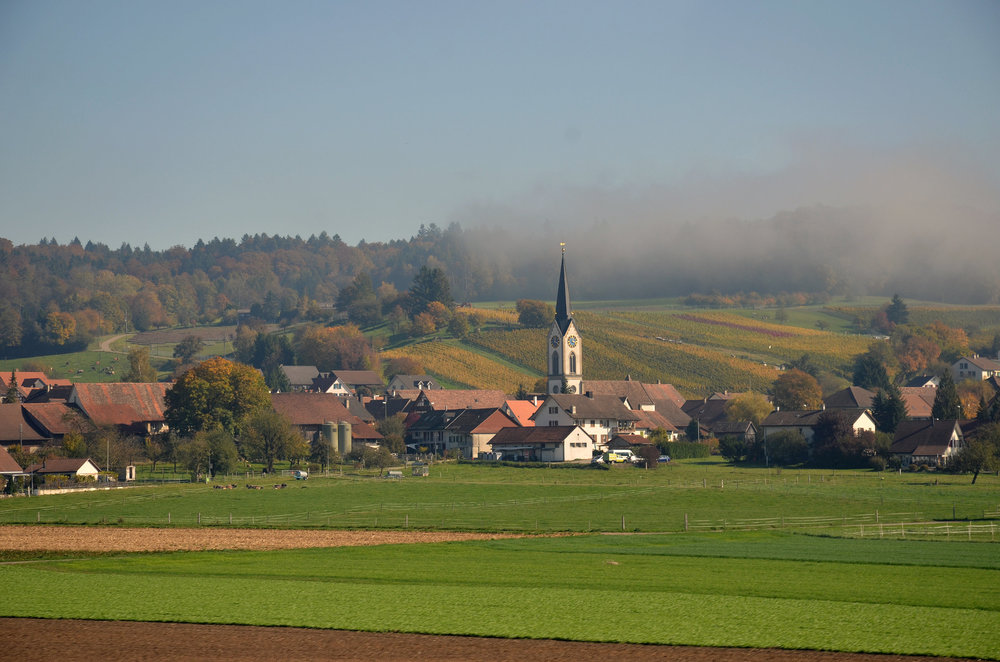 DSC_3706 — копия.JPG