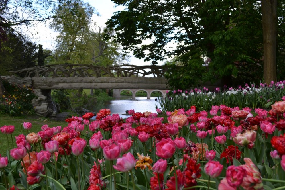 отпуск 2018 2679.JPG