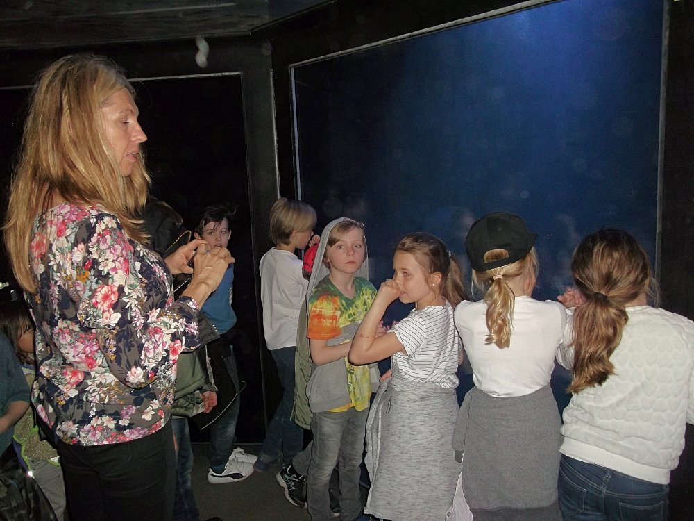 Сады и парки Скандинавии 613_Fotor.jpg