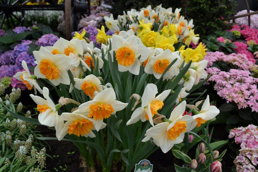 отпуск 2018 2521.JPG