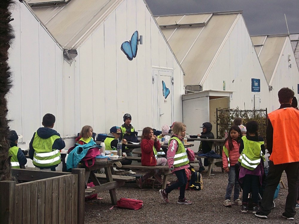 Сады и парки Скандинавии 666_Fotor.jpg