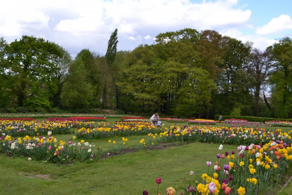 отпуск 2018 2596.JPG