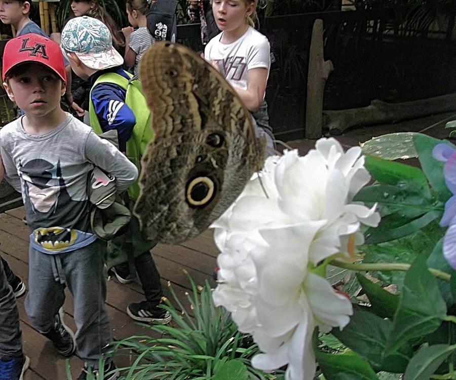 Сады и парки Скандинавии 649_Fotor.jpg