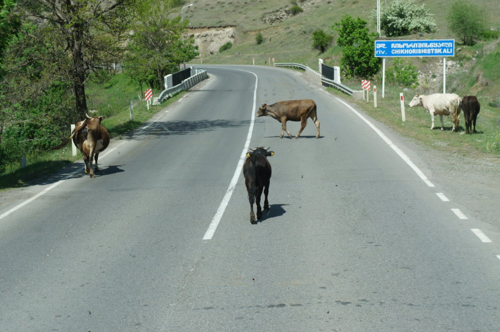 DSC02840  Грузия дорога  .JPG