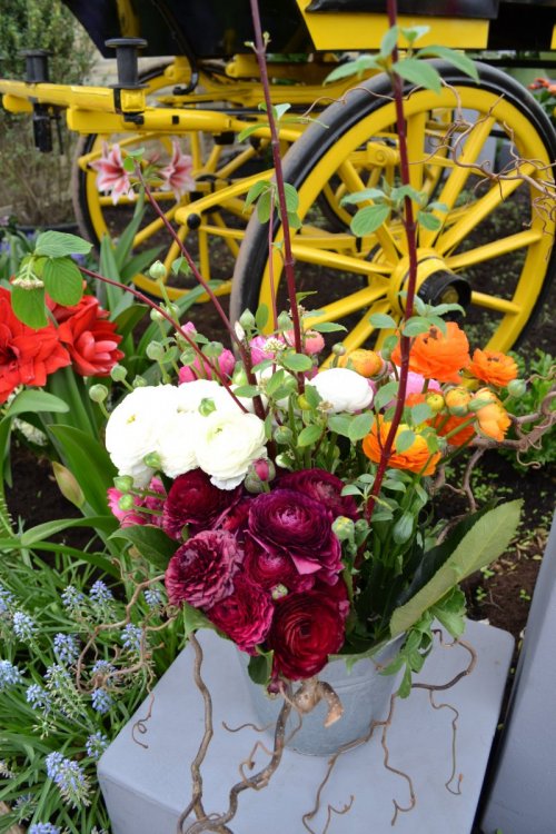 отпуск 2018 2545.JPG