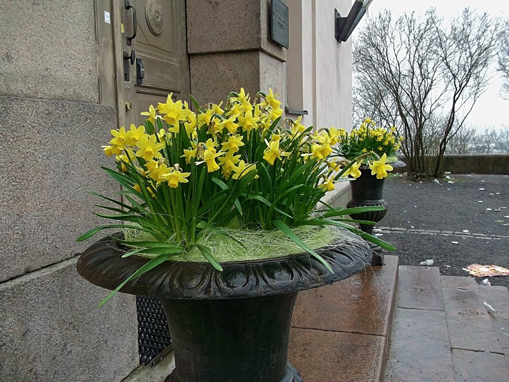 Сады и парки Скандинавии 258_Fotor.jpg