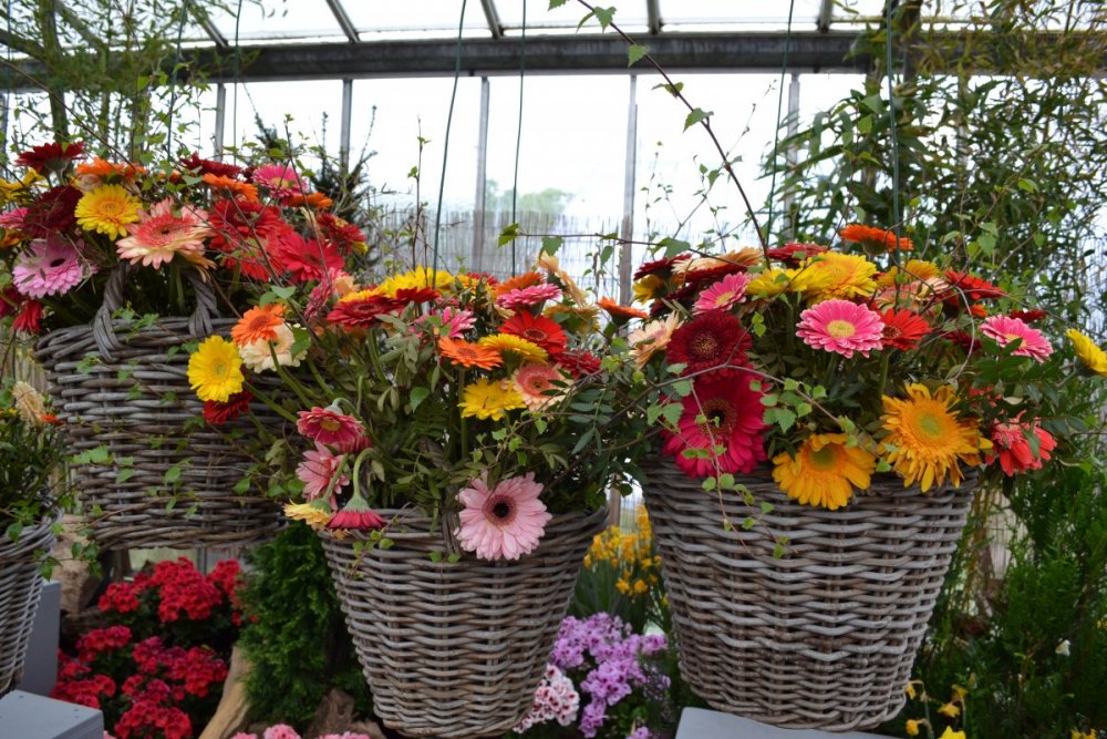 отпуск 2018 2508.JPG