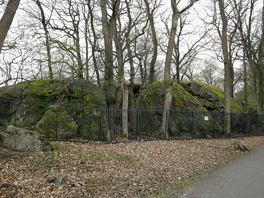 Сады и парки Скандинавии 401_Fotor.jpg