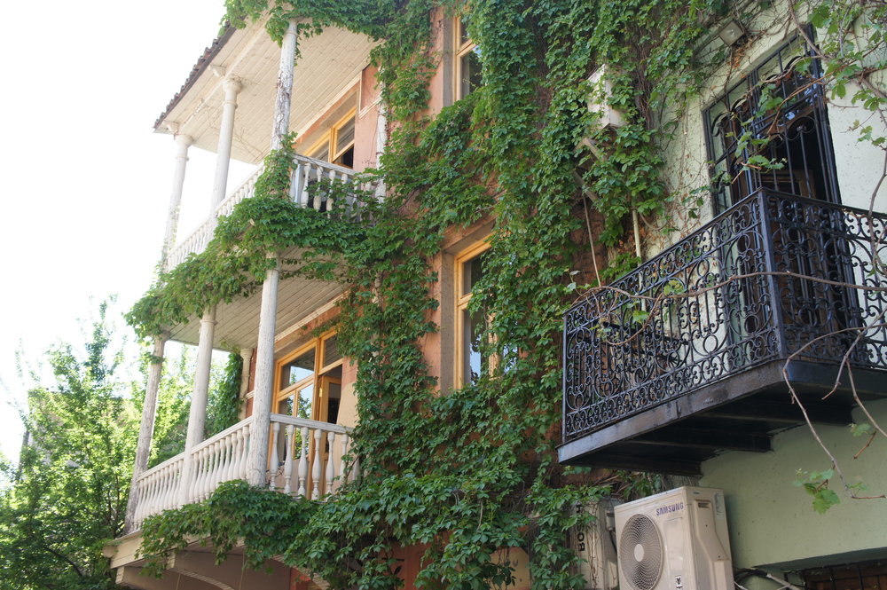 DSC02680  Грузия Тбилиси  .JPG