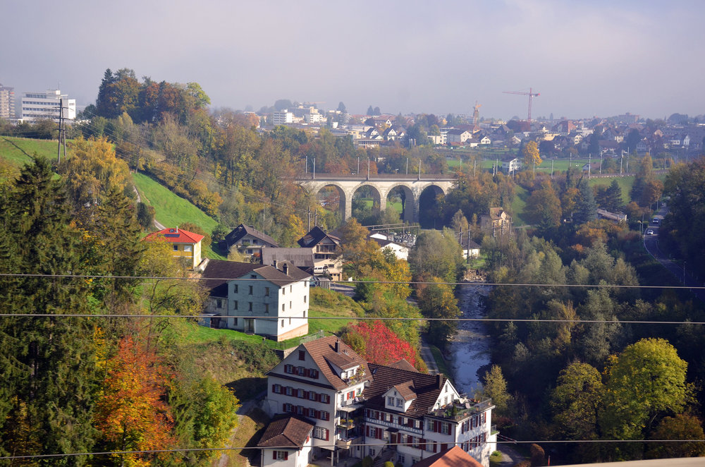 DSC_3597 — копия.JPG