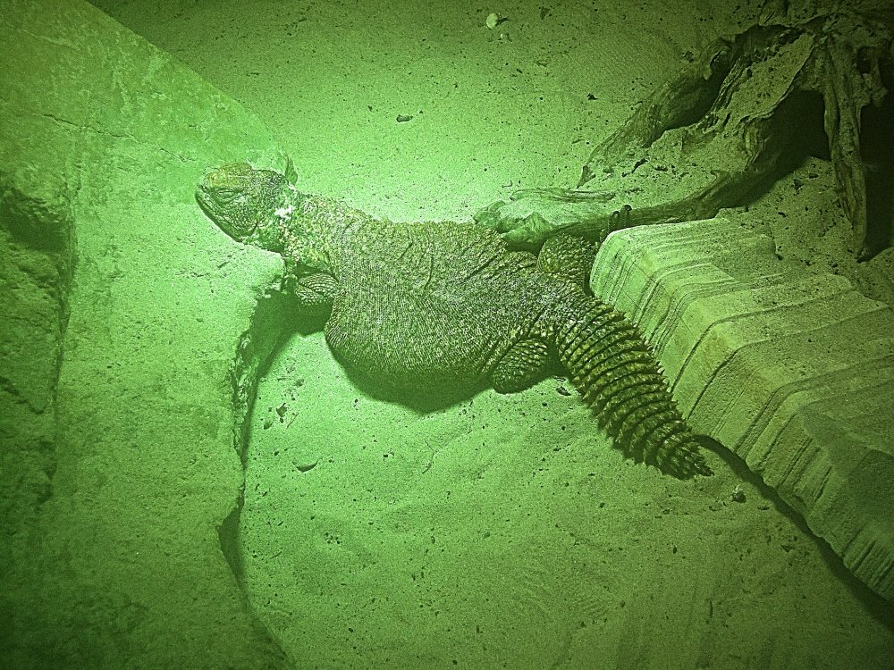 Сады и парки Скандинавии 519_Fotor.jpg