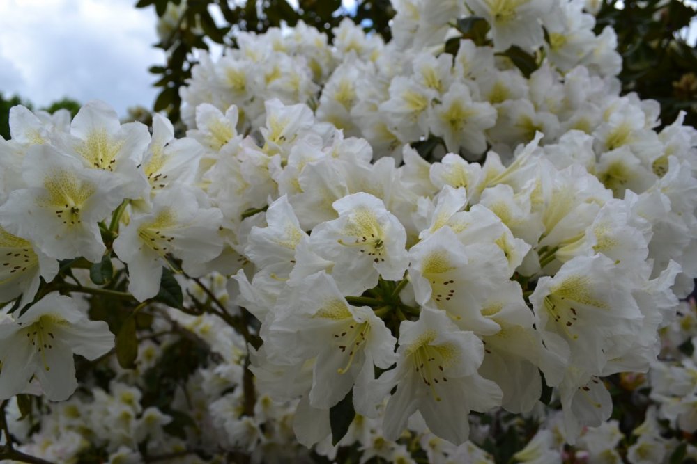 отпуск 2018 2477.JPG