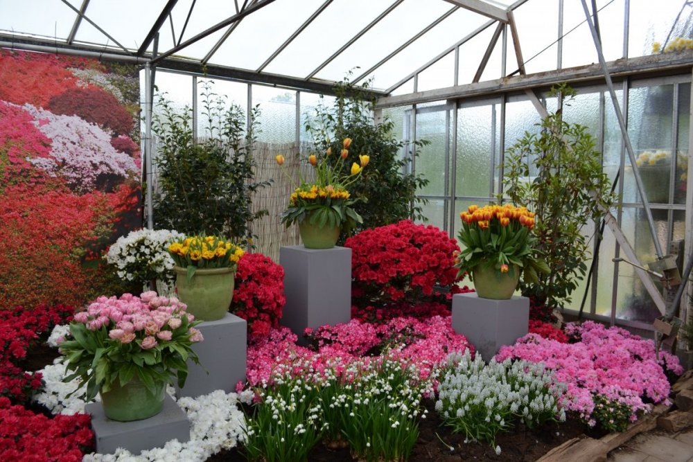 отпуск 2018 2502.JPG