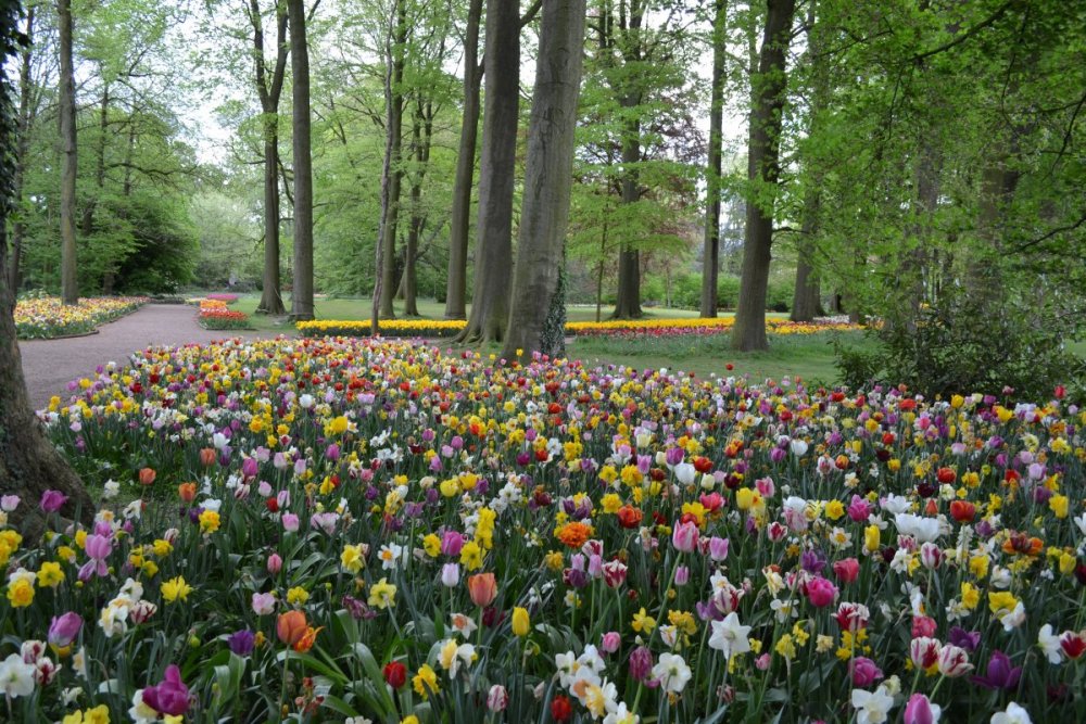 отпуск 2018 2621.JPG