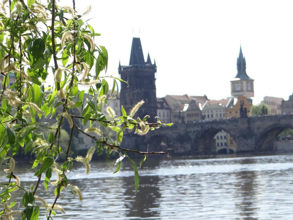 прага мост.jpg