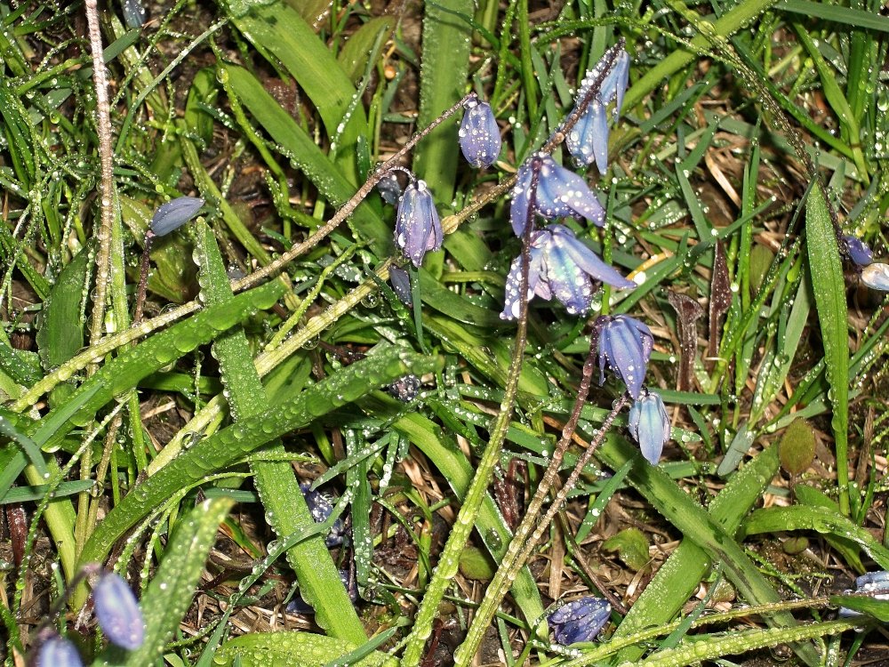 Сады и парки Скандинавии 285_Fotor.jpg