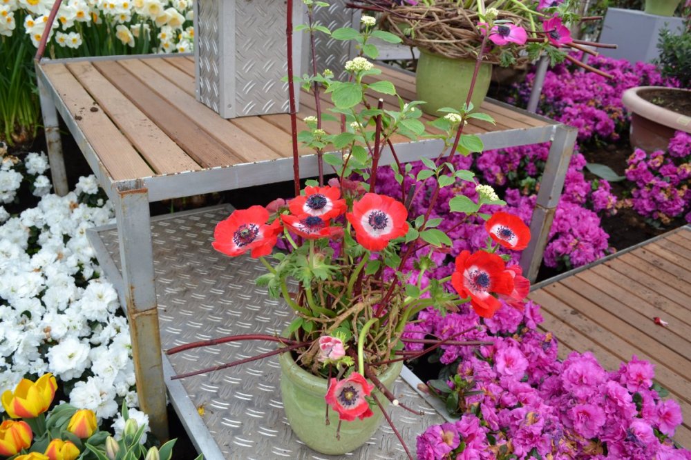 отпуск 2018 2507.JPG