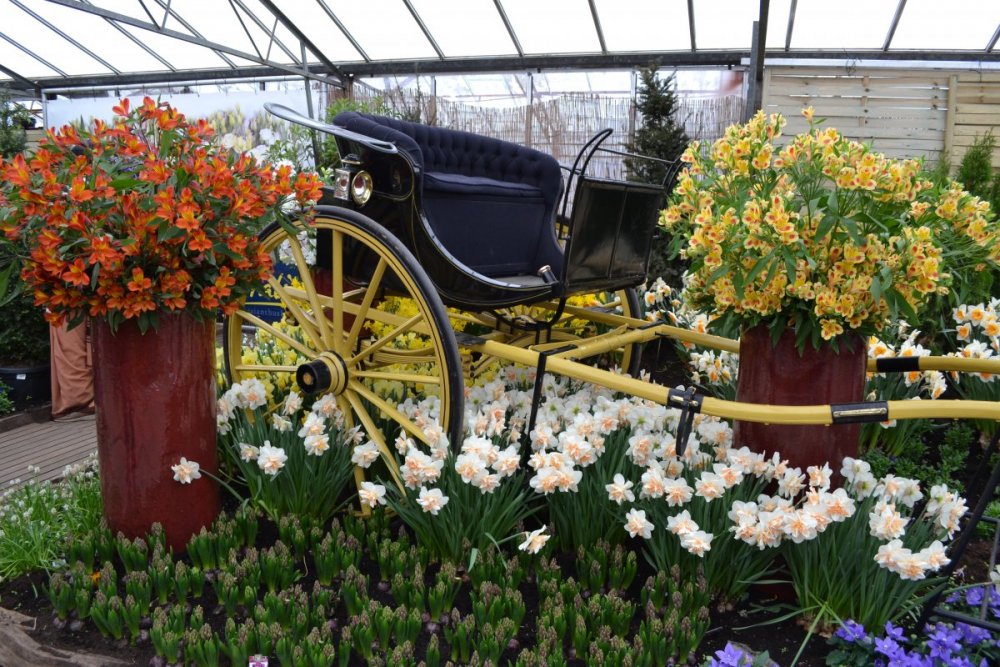 отпуск 2018 2539.JPG