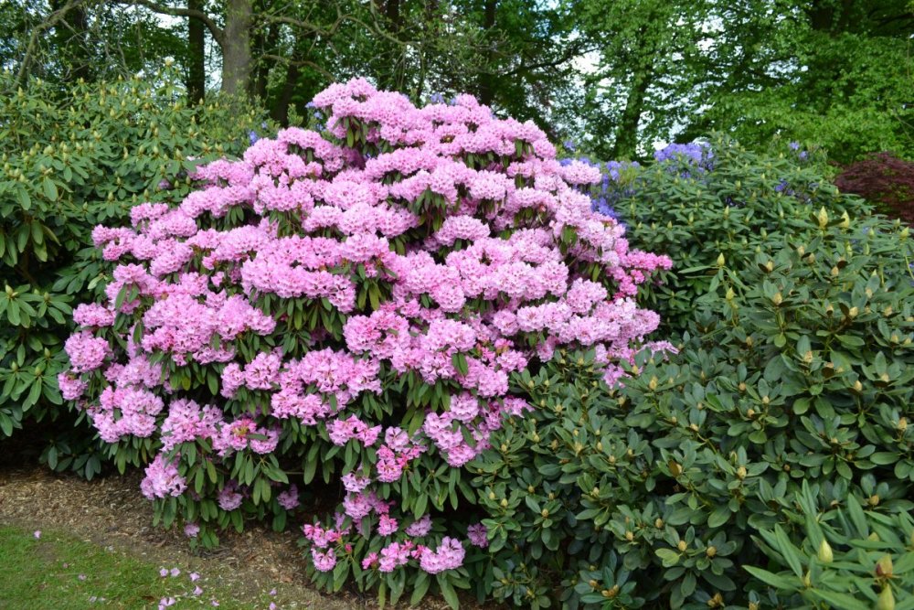 отпуск 2018 2457.JPG