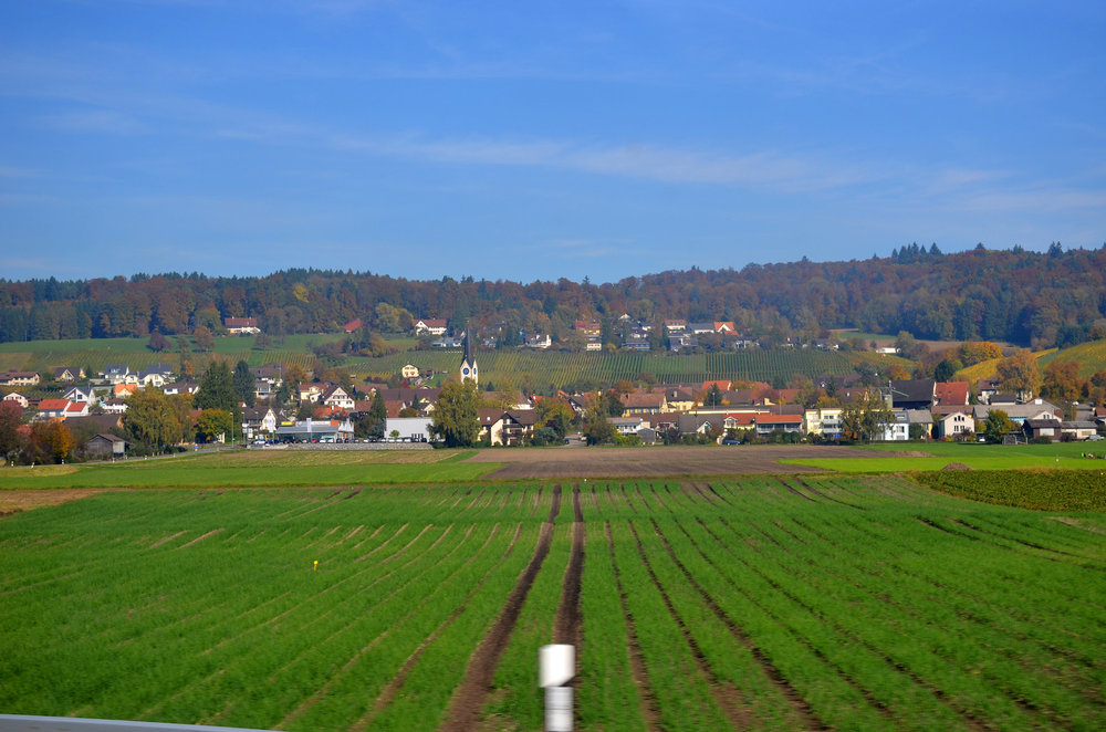 DSC_3698 — копия.JPG