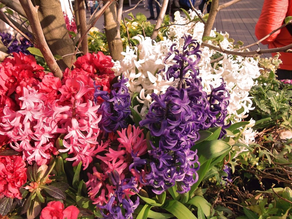 Сады и парки Скандинавии 155_Fotor.jpg