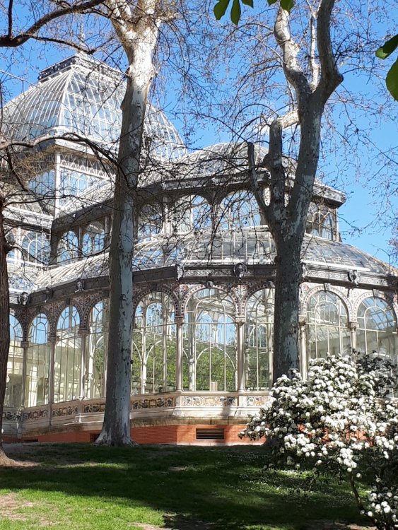 Мадрид. Парк Ретиро. Хрустальный дворец.jpg