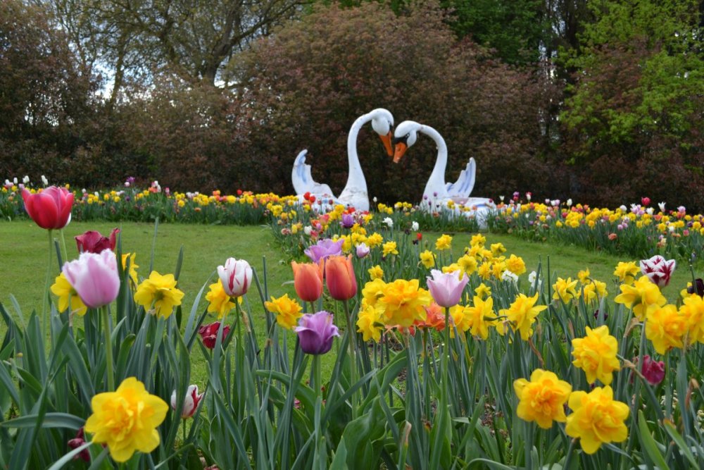 отпуск 2018 2594.JPG