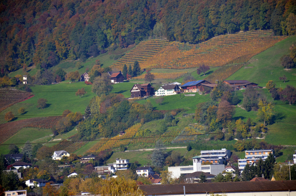 DSC_3566 — копия.JPG