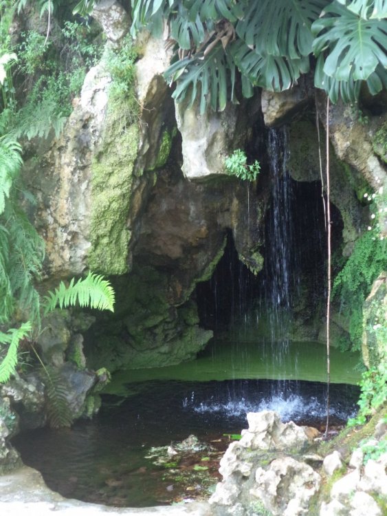 Парк усадьбы Регалейра полон таинственной красоты.JPG